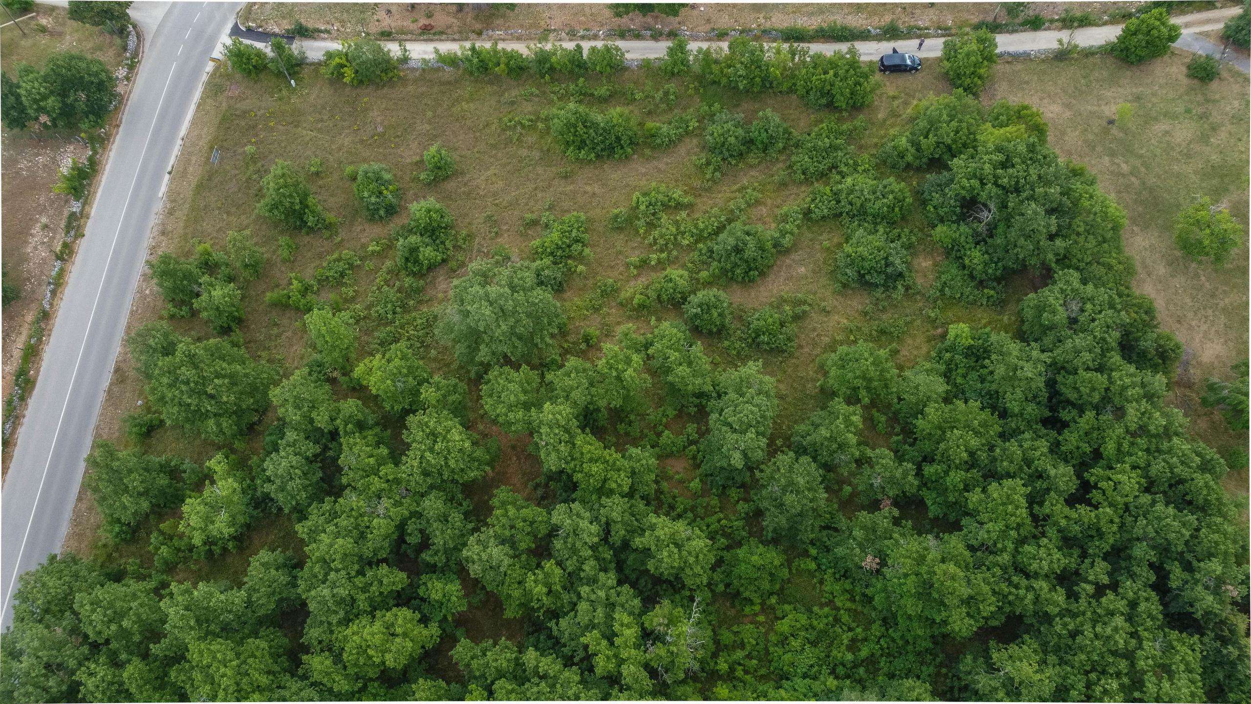 Surroundings of Momjan | Building plot in an excellent position, an opportunity for investors