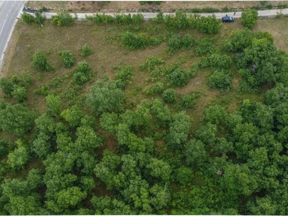 Okolica Momjana | Građevinsko zemljište na izvrsnoj poziciji, prilika za investitore