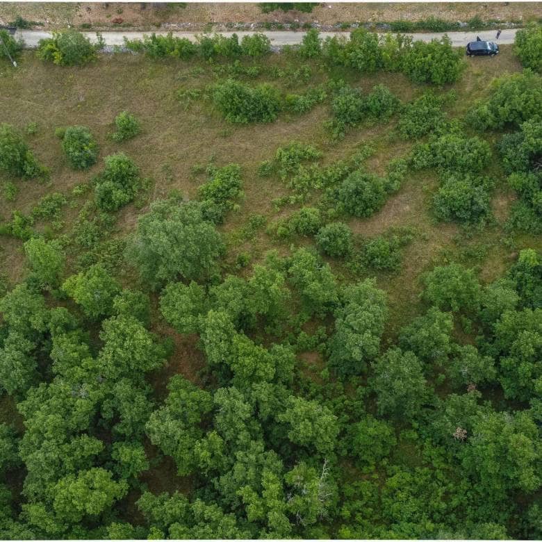 Okolica Momjana | Građevinsko zemljište na izvrsnoj poziciji, prilika za investitore