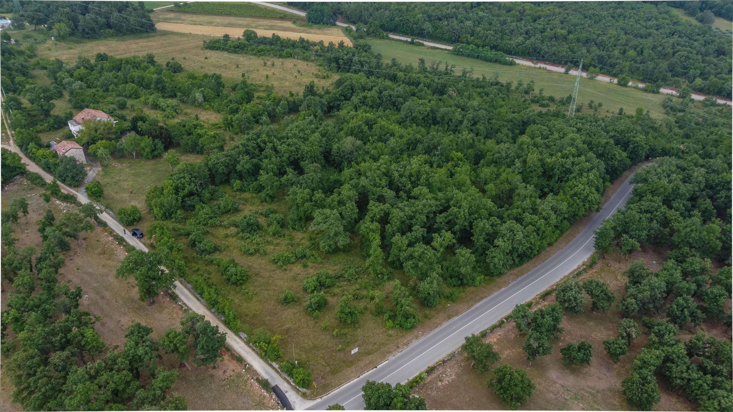 Surroundings of Momjan | Building plot in the immediate vicinity of the border and Buje