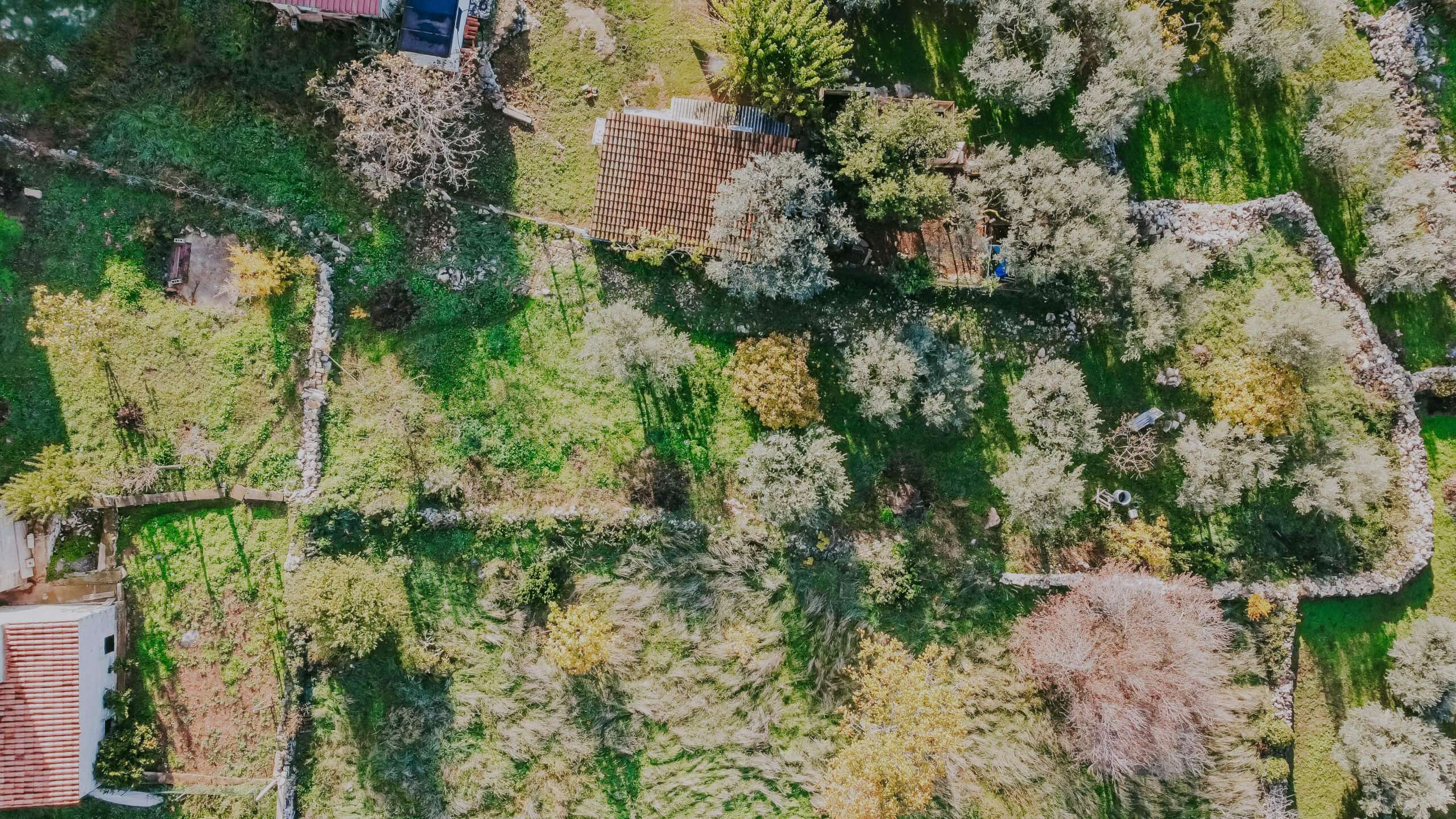 Brtonigla surroundings | Land in the construction area