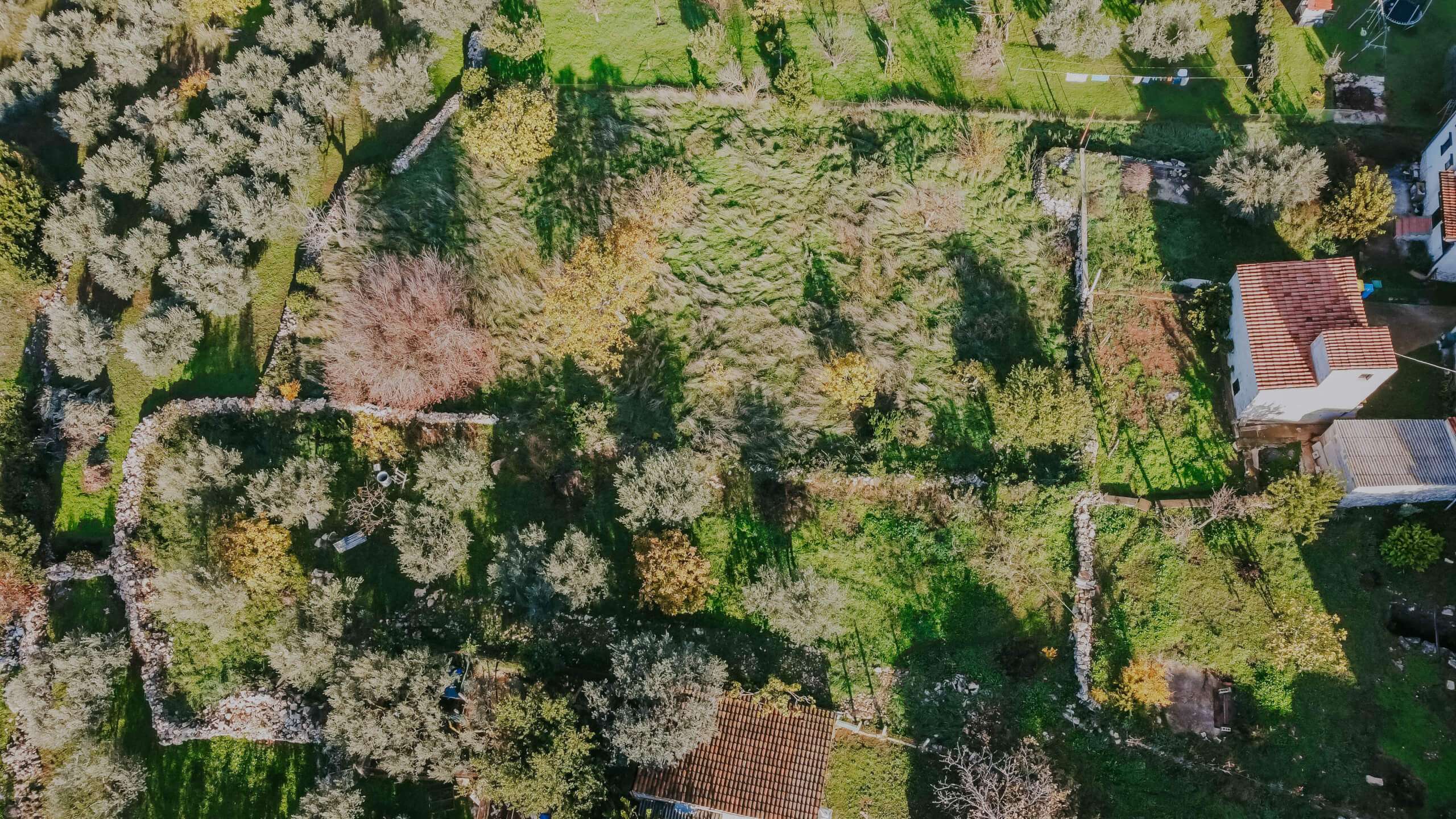 Brtonigla surroundings | Land in the construction area