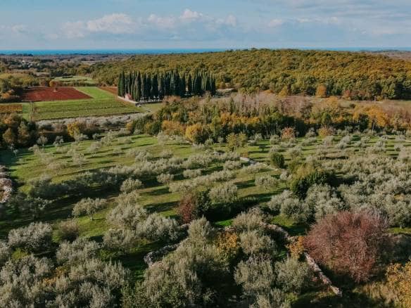 Dintorni di Verteneglio | Terreno in zona edificabile