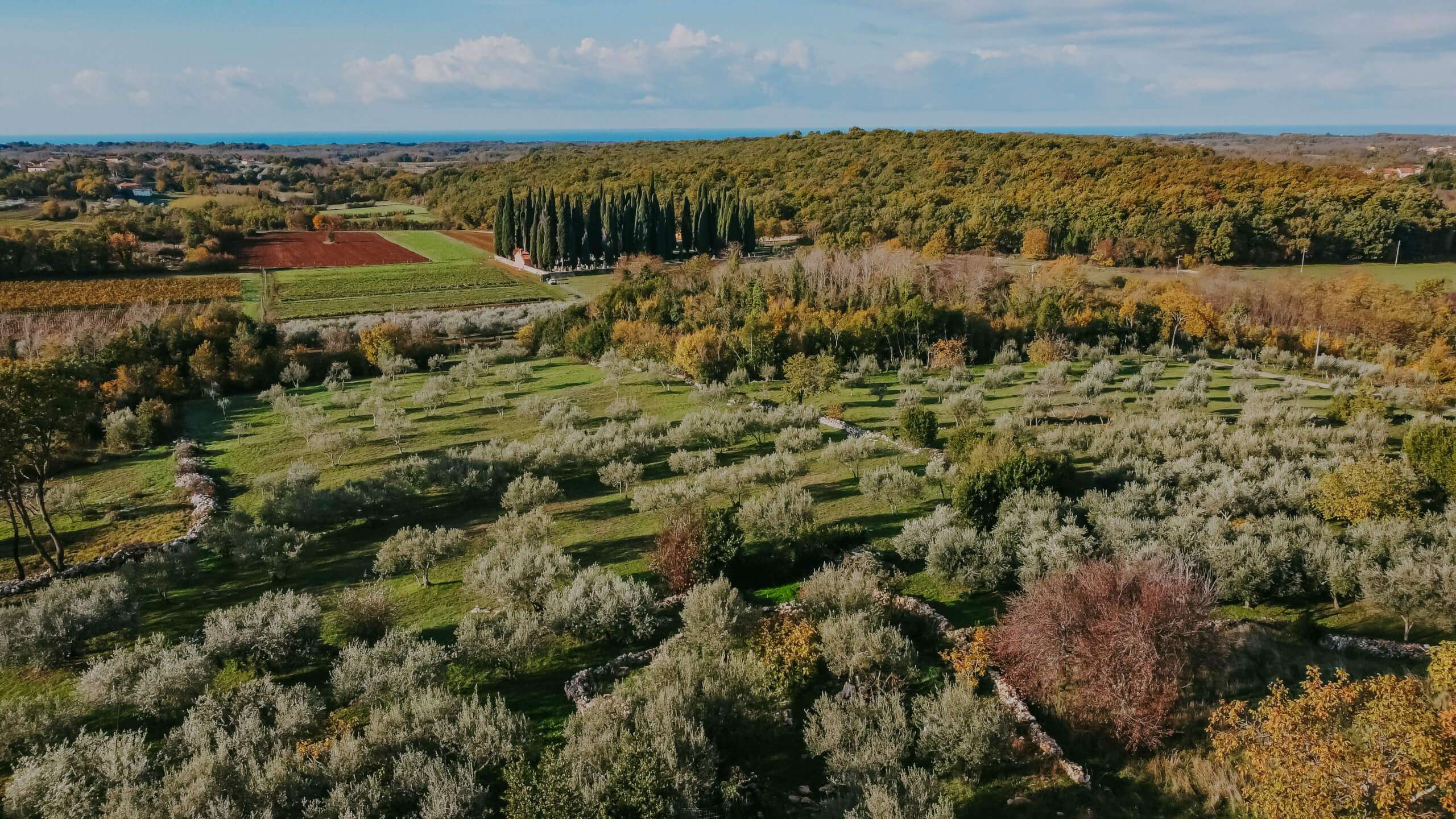 Brtonigla okolica | Zemljišče v območju gradnje Brtonigla okolica | Zemljišče v območju gradnje