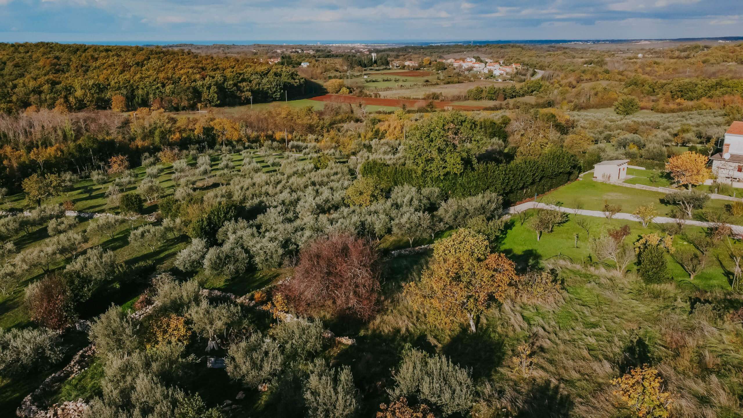 Brtonigla surroundings | Land in the construction area