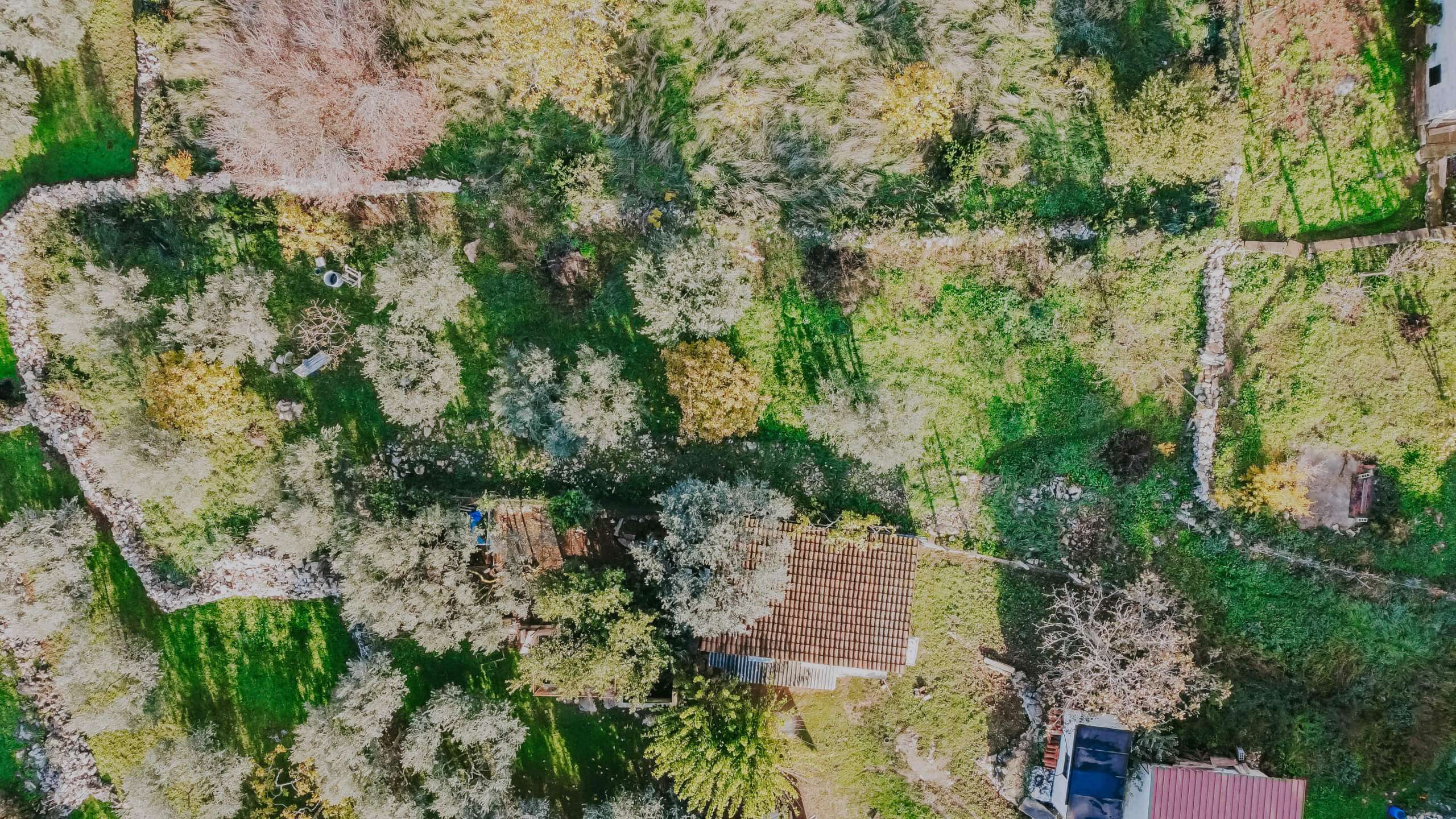 Brtonigla surroundings | Land in the construction area