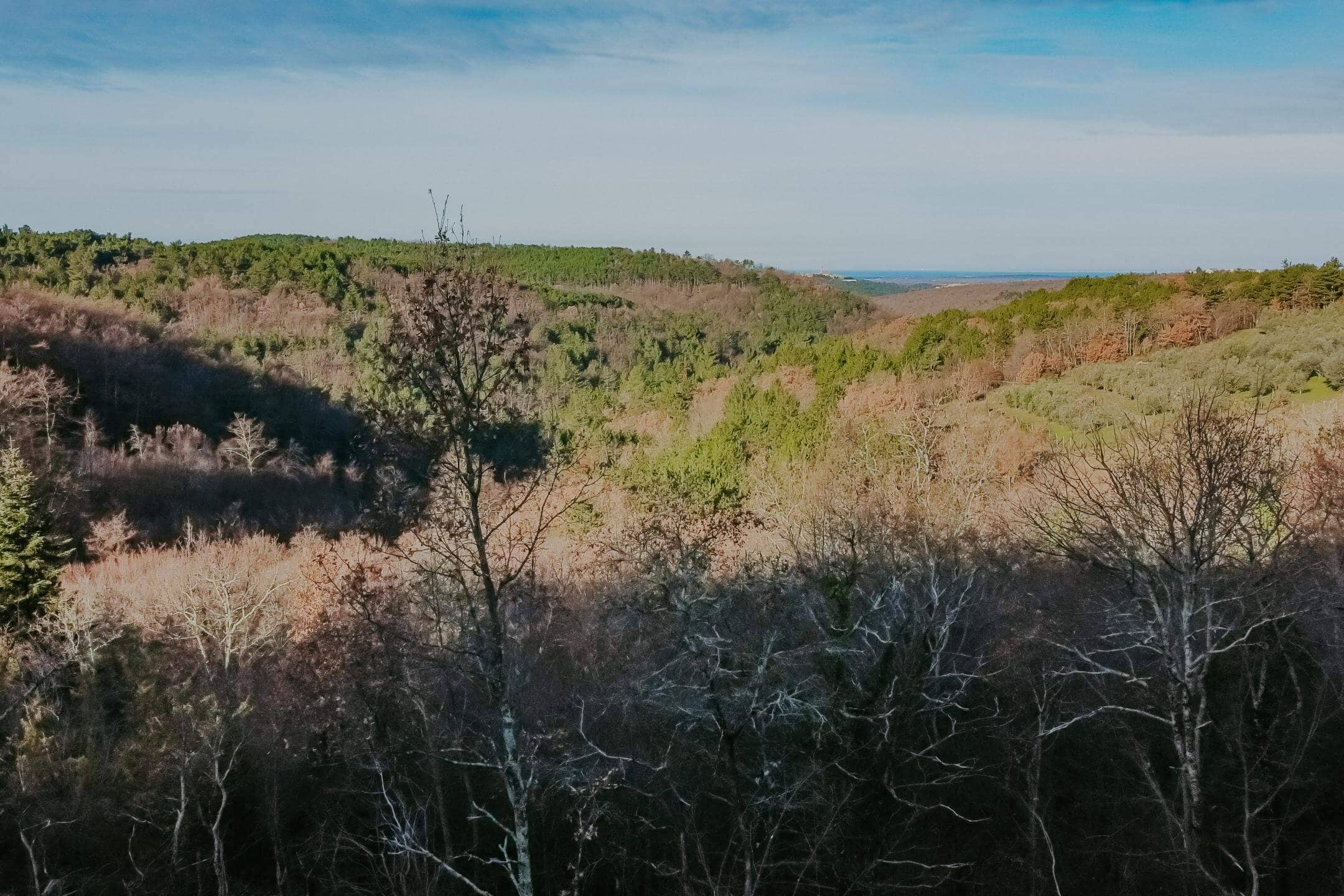 2023-01-11_09-54-45_DJI_0480