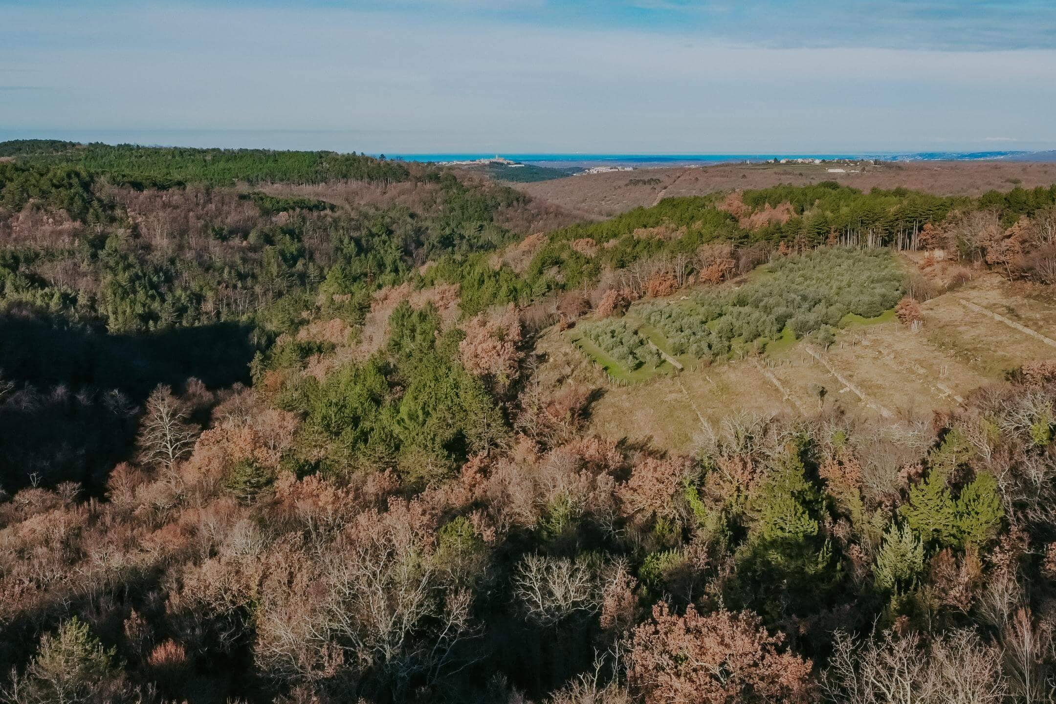 2023-01-11_09-55-24_DJI_0482