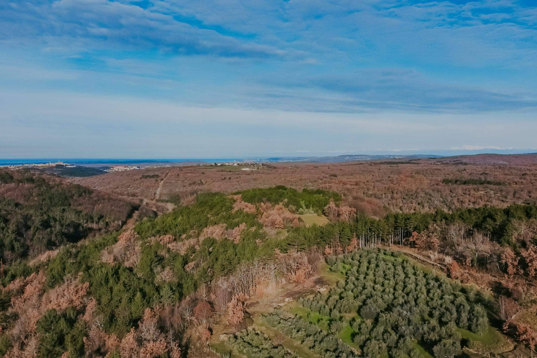 2023-01-11_09-57-11_DJI_0490