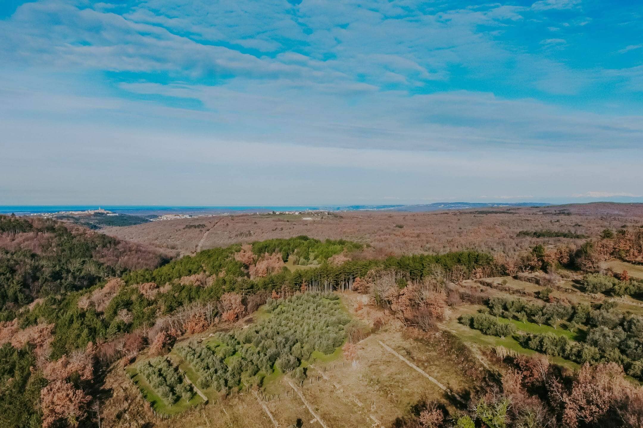 2023-01-11_09-59-06_DJI_0498