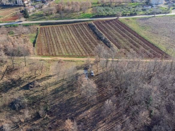 Kaštelir surroundings | Land near Parenzana
