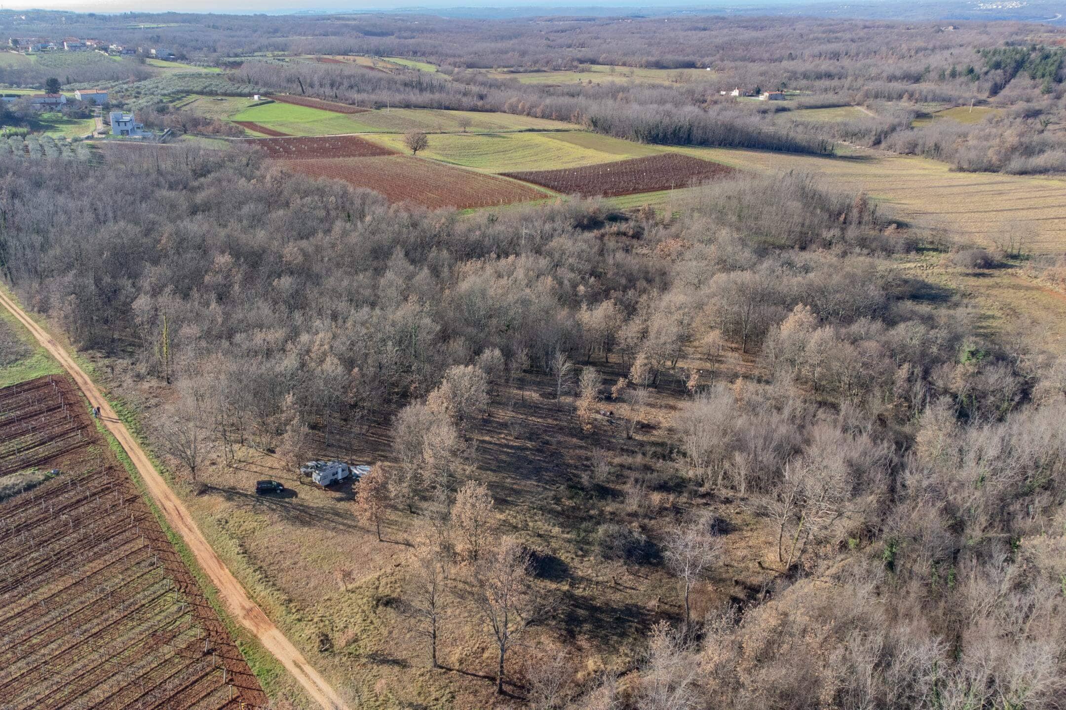 Castelliere dintorni | Terreno nei pressi della Parenzana Castelliere dintorni | Terreno nei pressi della Parenzana