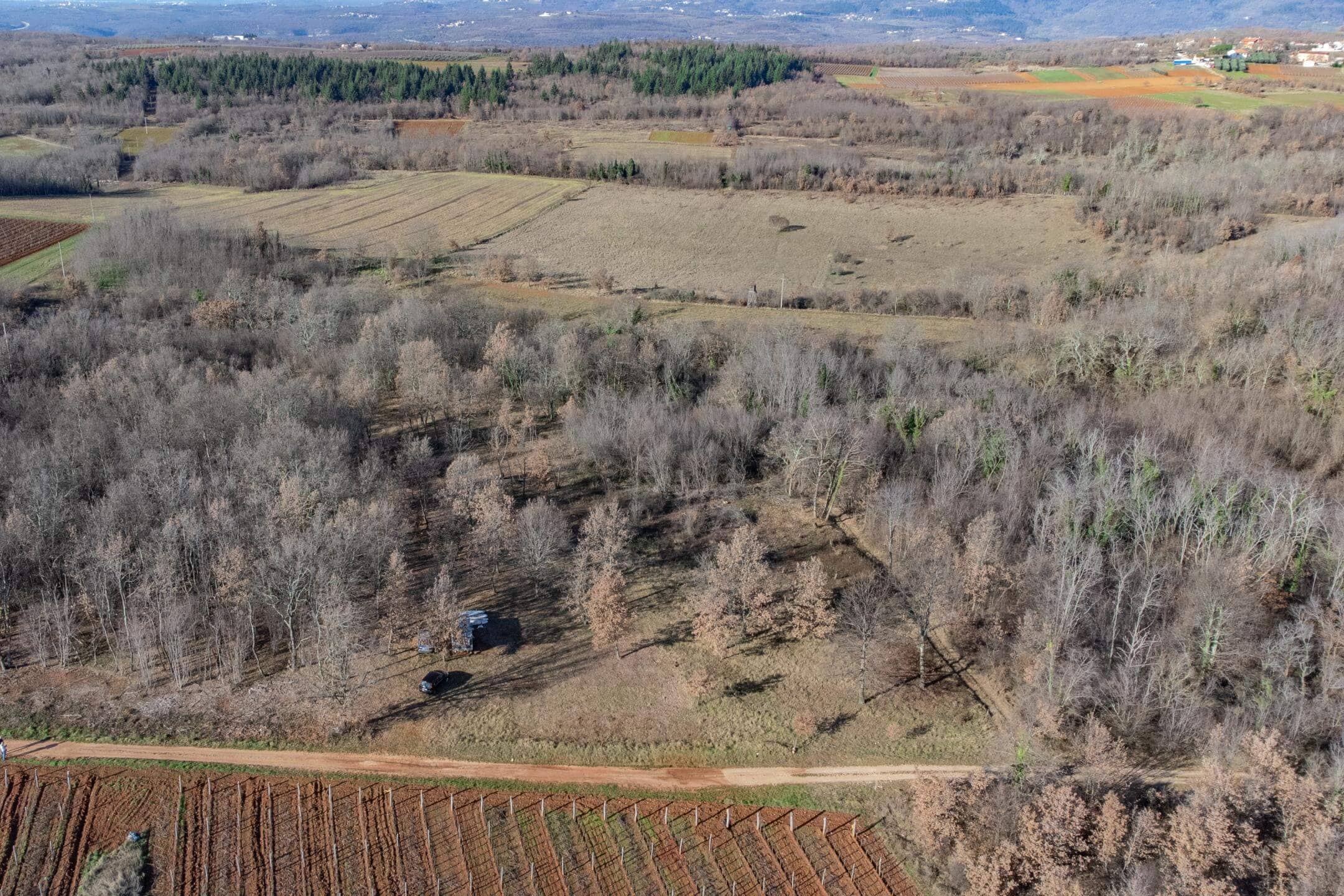 Kaštelir okolica | Zemljište u blizini Parenzane Kaštelir okolica | Zemljište u blizini Parenzane