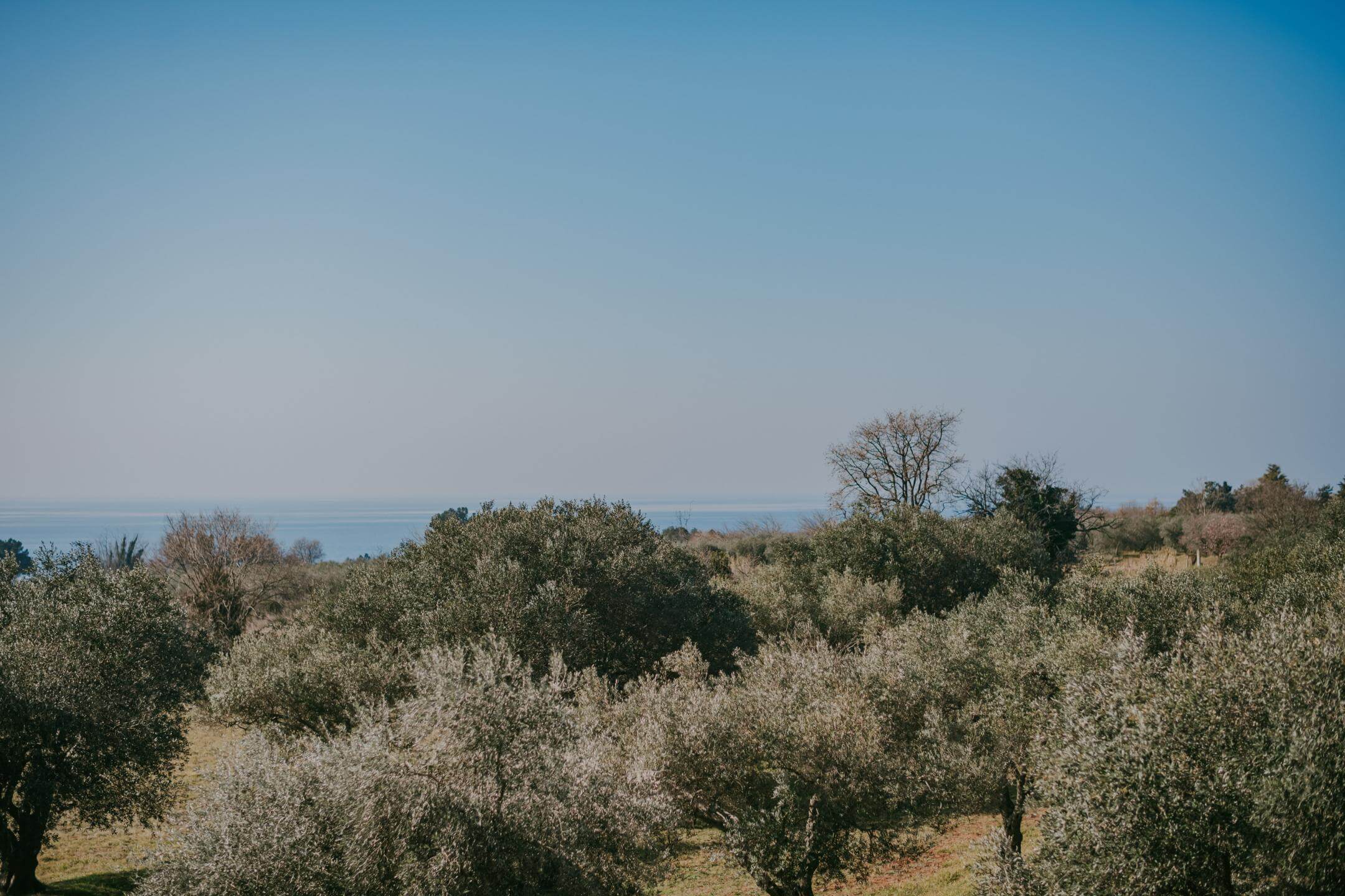 Exklusiver Verkauf | Wohnung in Zambratija im ersten Stock mit Meerblick