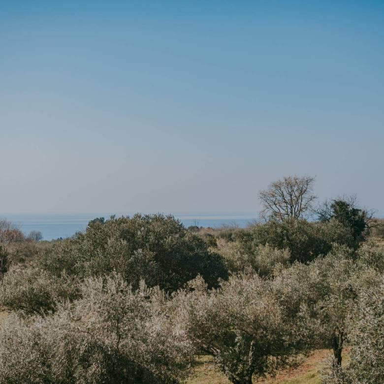 Vendita esclusiva | Appartamento A Zambrattia Al Primo Piano Con Vista Mare