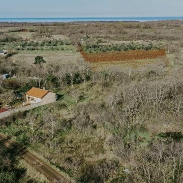 Umag Surroundings | Agricultural Land Near the Sea
