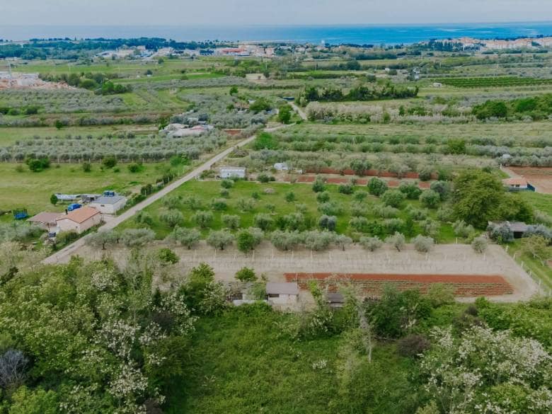 Umag, Finida | Eine Doppelhaushälfte mit Swimmingpool und offenem Meerblick