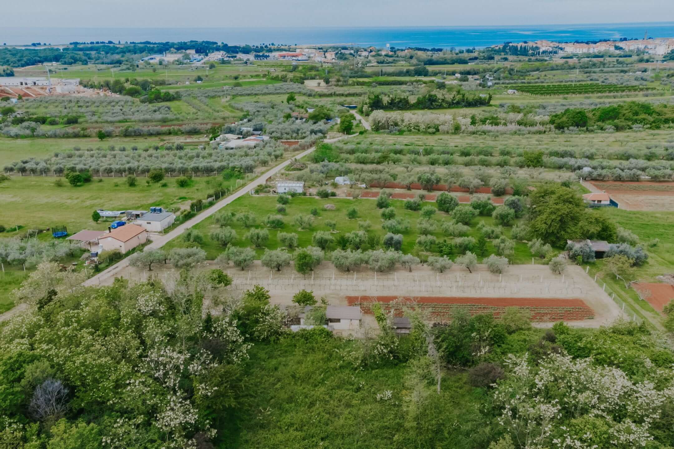 Umag, Finida | Eine Doppelhaushälfte mit Swimmingpool und offenem Meerblick