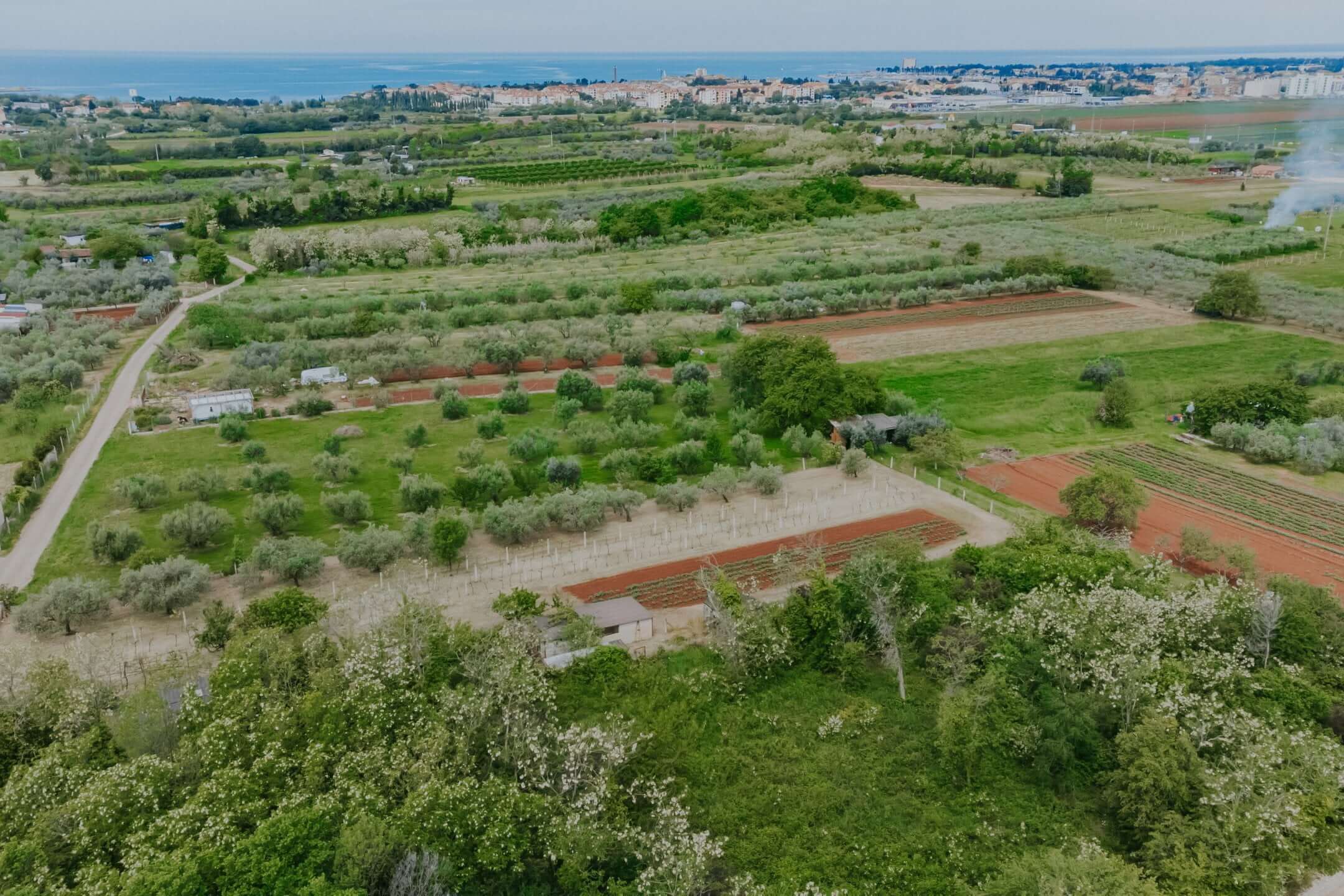 Umag, Finida | Hiša dvojček z bazenom in odprtim pogledom na morje