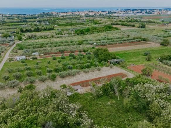 Umag, Finida | Eine Doppelhaushälfte mit Swimmingpool und offenem Meerblick