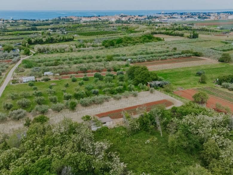 Umag, Finida | Eine Doppelhaushälfte mit Swimmingpool und offenem Meerblick