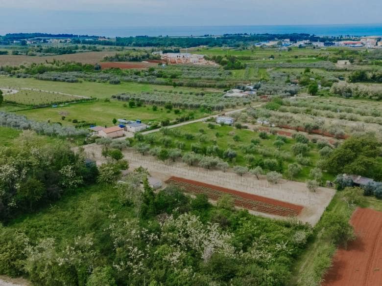 Umag, Finida | Eine Doppelhaushälfte mit Swimmingpool und offenem Meerblick