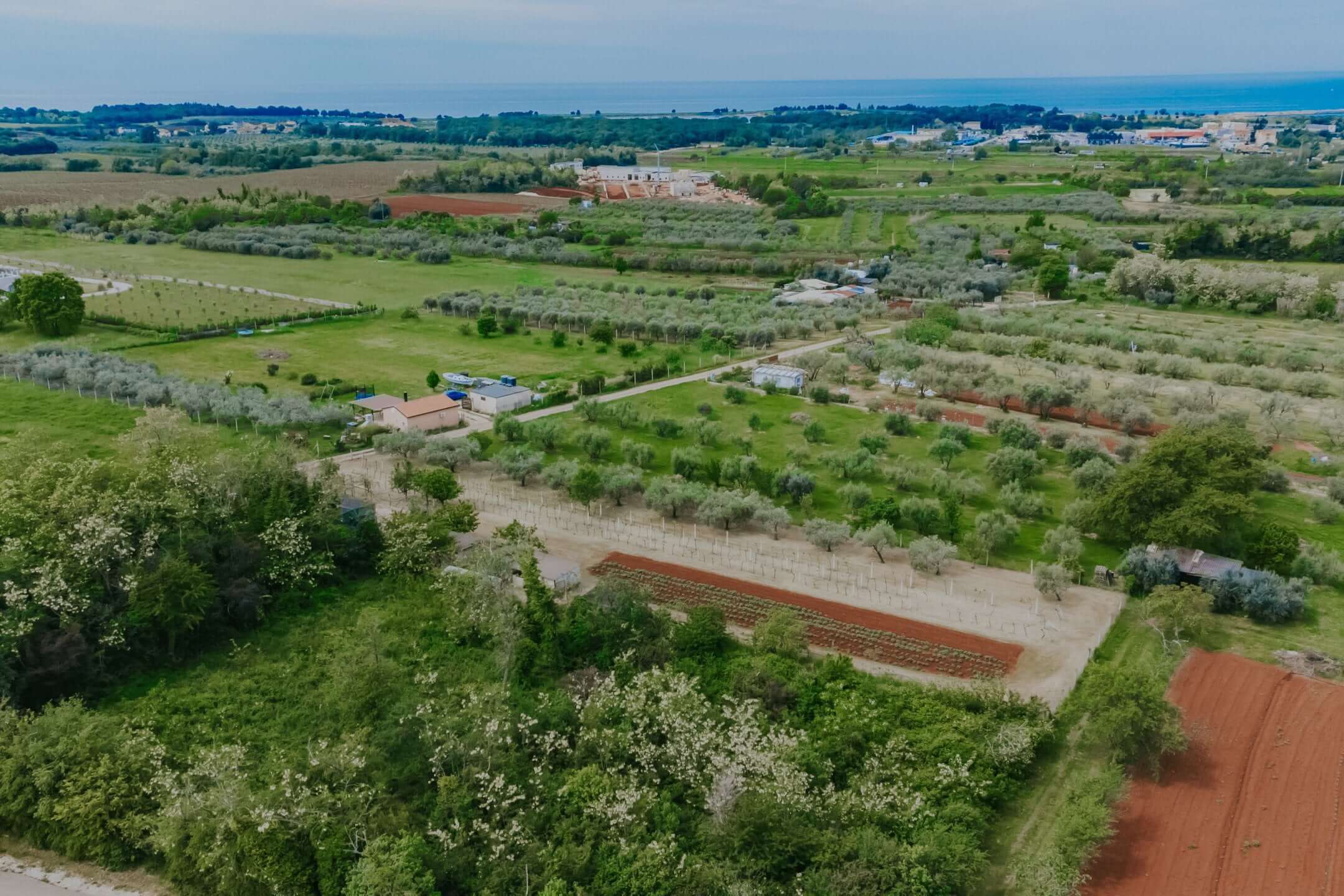 Umag, Finida | Eine Doppelhaushälfte mit Swimmingpool und offenem Meerblick