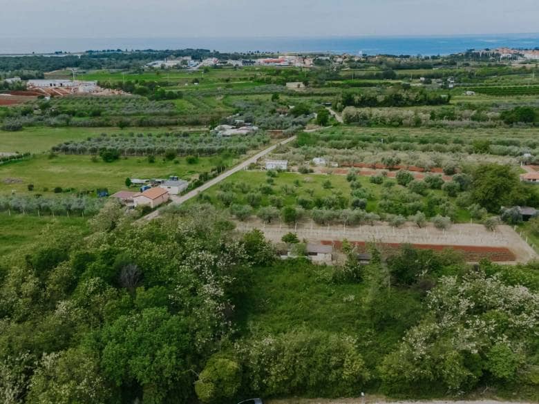 Umag, Finida | Eine Doppelhaushälfte mit Swimmingpool und offenem Meerblick