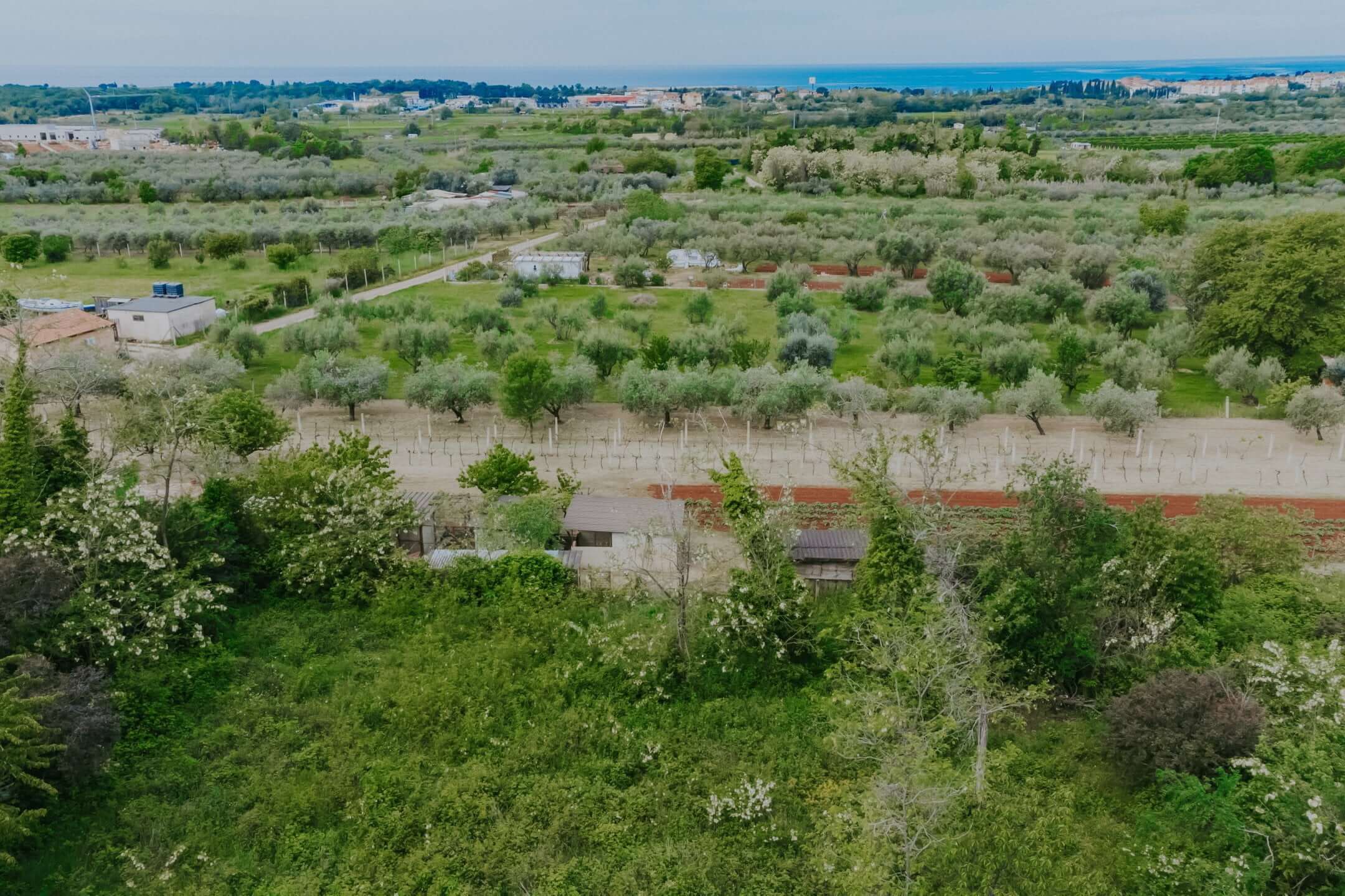 Umag, Finida | Hiša dvojček z bazenom in odprtim pogledom na morje