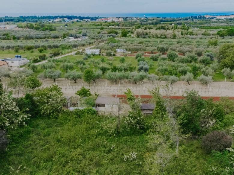 Umag, Finida | Eine Doppelhaushälfte mit Swimmingpool und offenem Meerblick