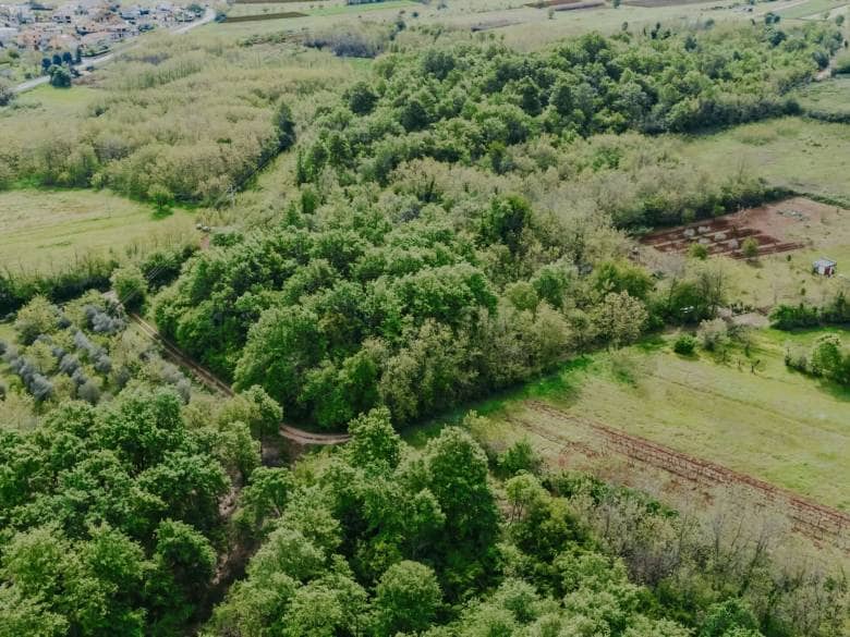 Umgebung von Umag | Ackerland nicht weit von der Stadt