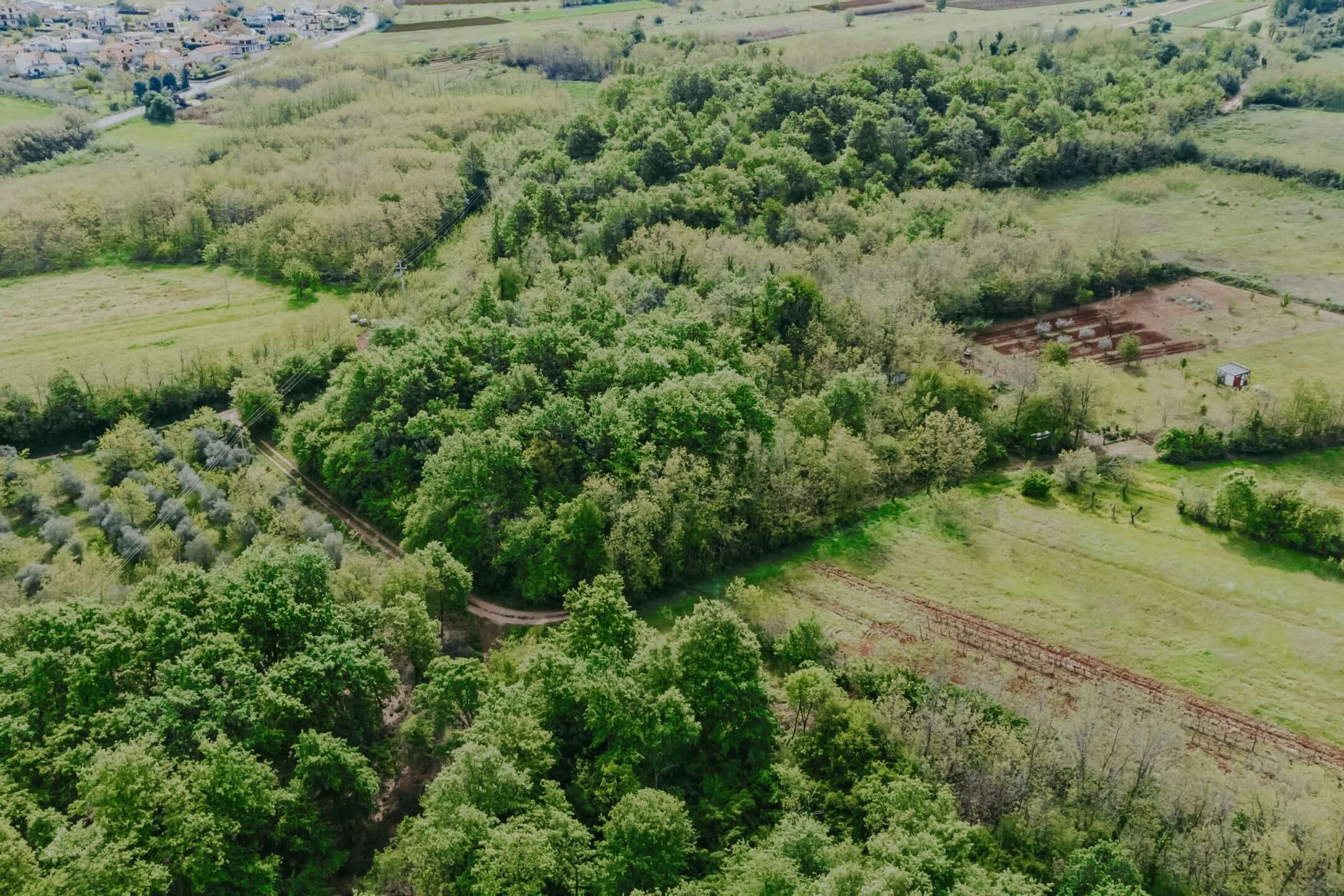Umgebung von Umag | Ackerland nicht weit von der Stadt