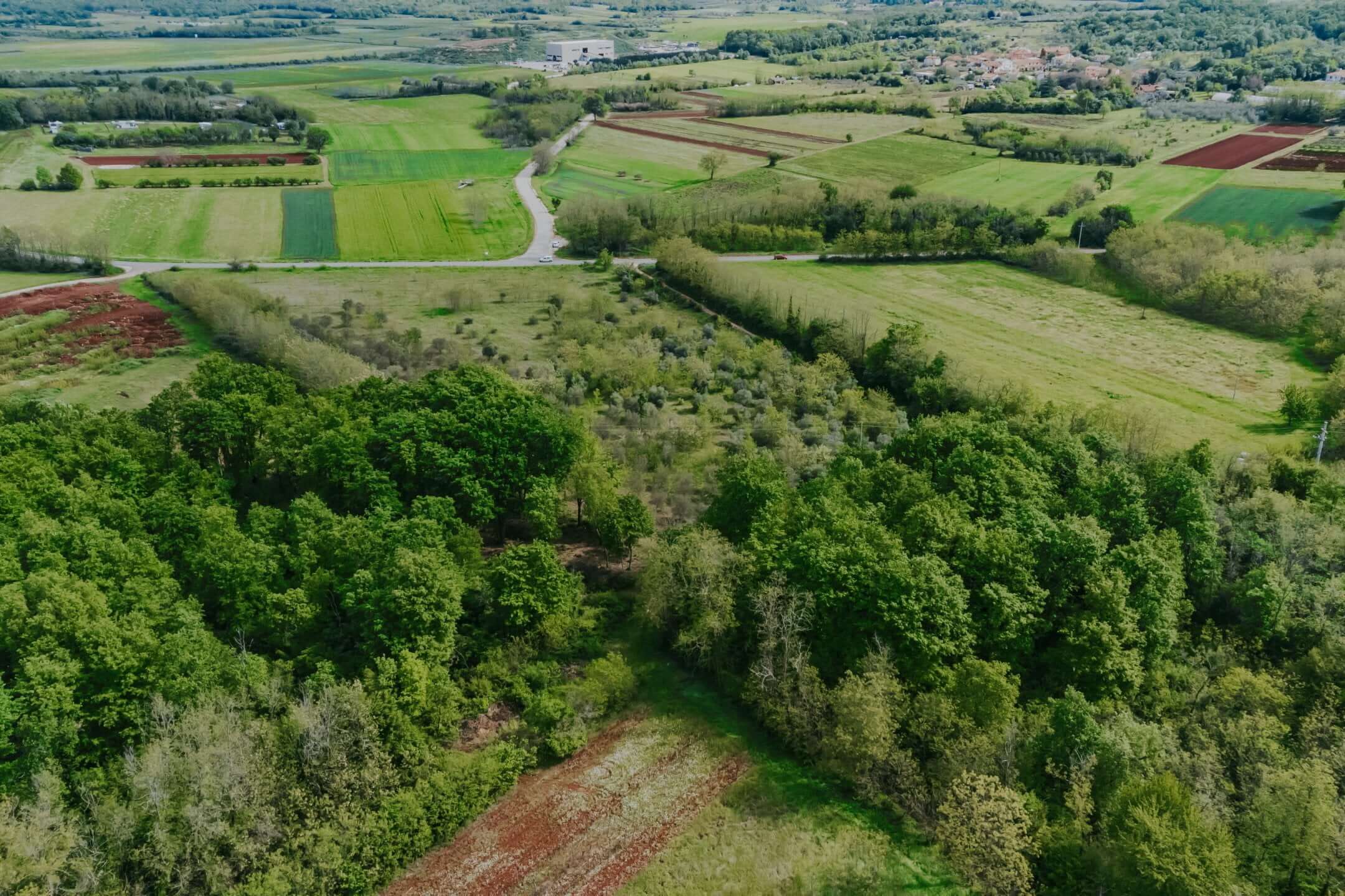 Umgebung von Umag | Ackerland nicht weit von der Stadt