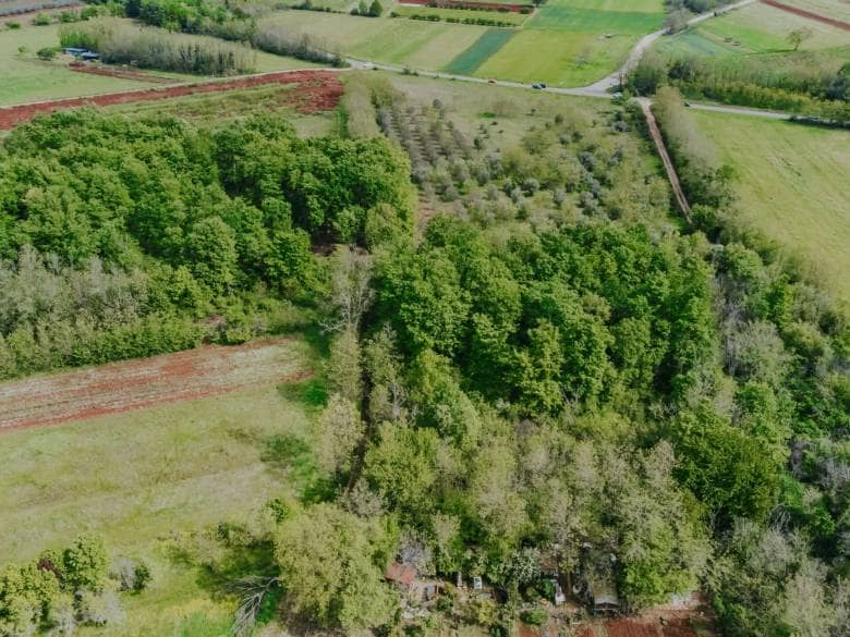 Umgebung von Umag | Ackerland nicht weit von der Stadt
