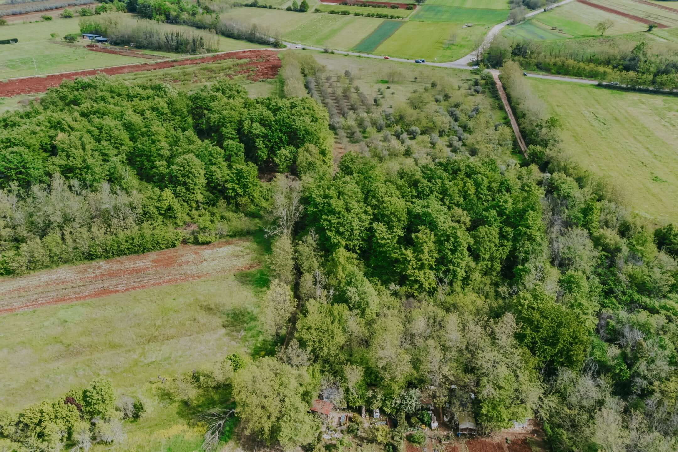 Umgebung von Umag | Ackerland nicht weit von der Stadt