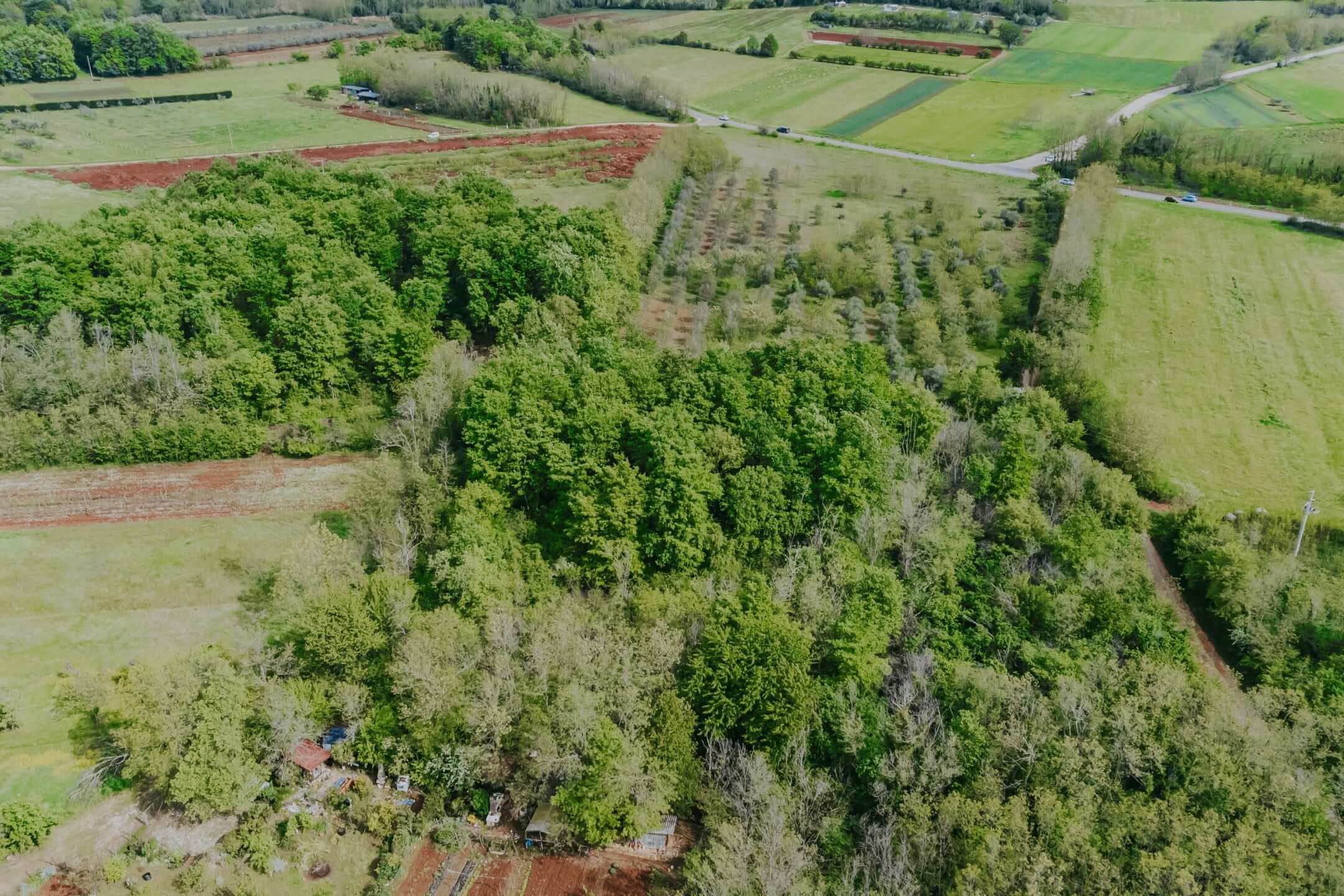 Umag okolica | Kmetijsko zemljišče nedaleč od mesta