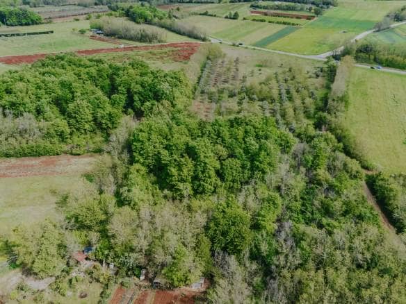 Umgebung von Umag | Ackerland nicht weit von der Stadt