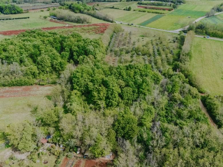 Umgebung von Umag | Ackerland nicht weit von der Stadt