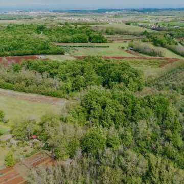 Umag okolica | Poljoprivredno zemljište nedaleko od grada