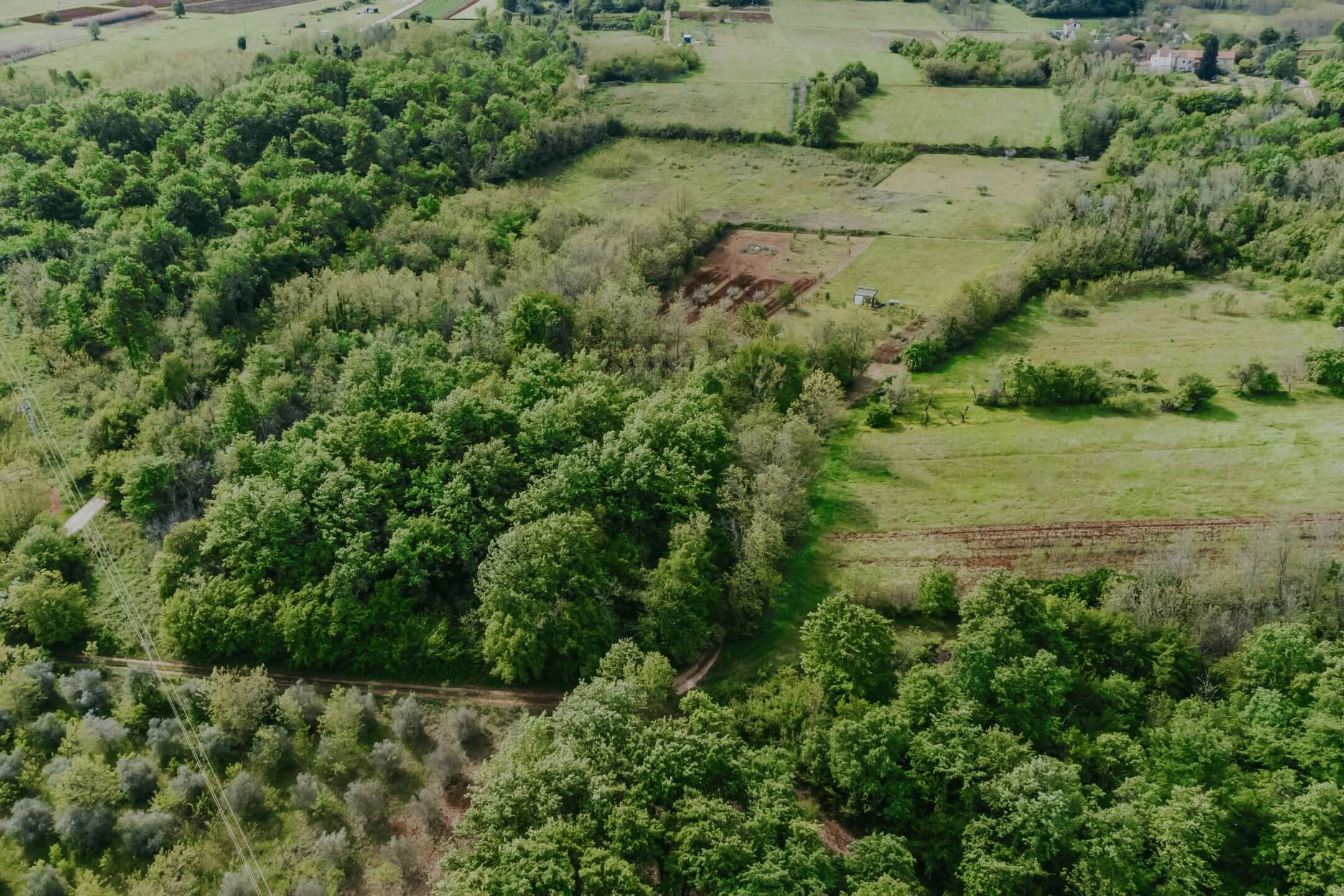 Umgebung von Umag | Ackerland nicht weit von der Stadt