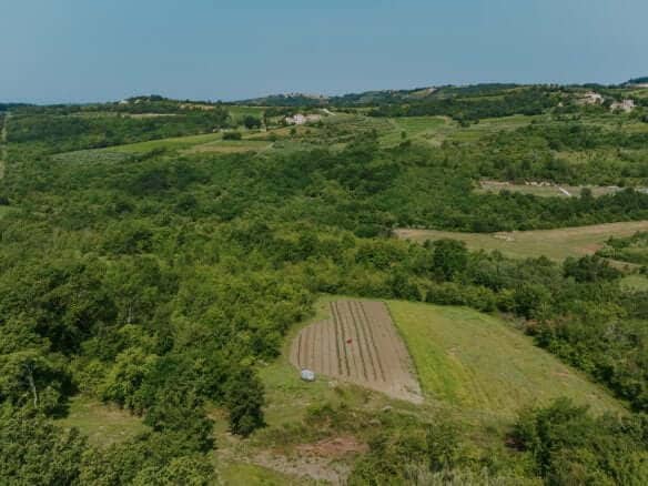 Umgebung von Krasica | Eine abgelegene Ruine mit schöner Aussicht
