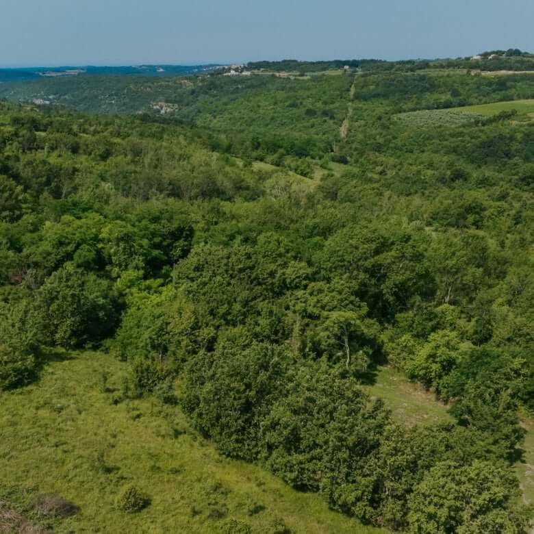 Krasica okolica | Samotna ruševina s čudovitim razgledom