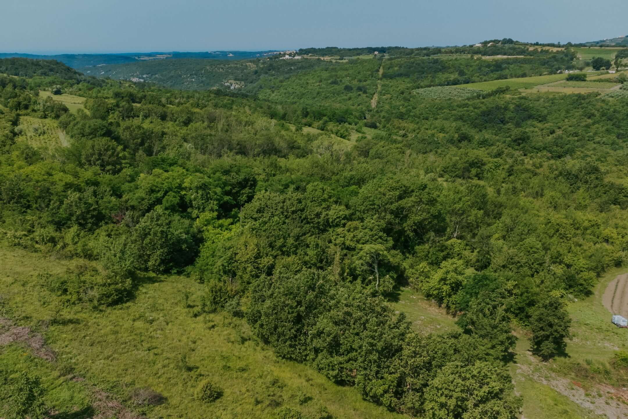 Krasica okolica | Samotna ruševina s čudovitim razgledom