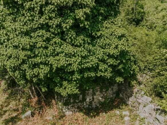 Krasica okolica | Samotna ruševina s čudovitim razgledom