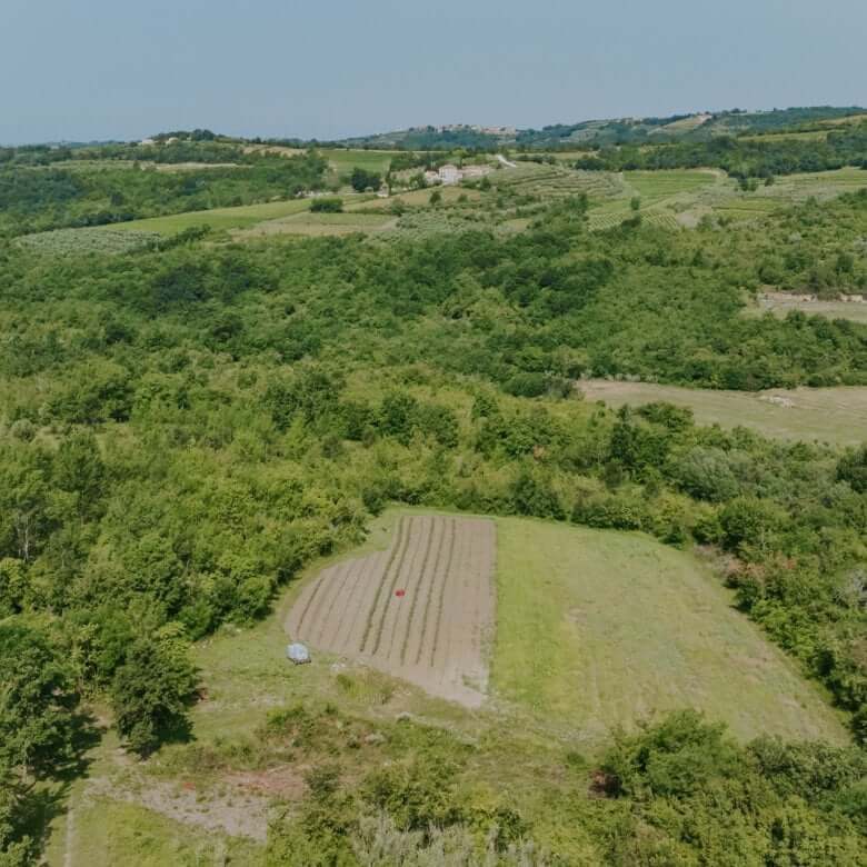 Krasica okolica | Samotna ruševina s čudovitim razgledom