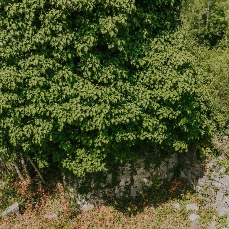 Krasica okolica | Samotna ruševina s čudovitim razgledom