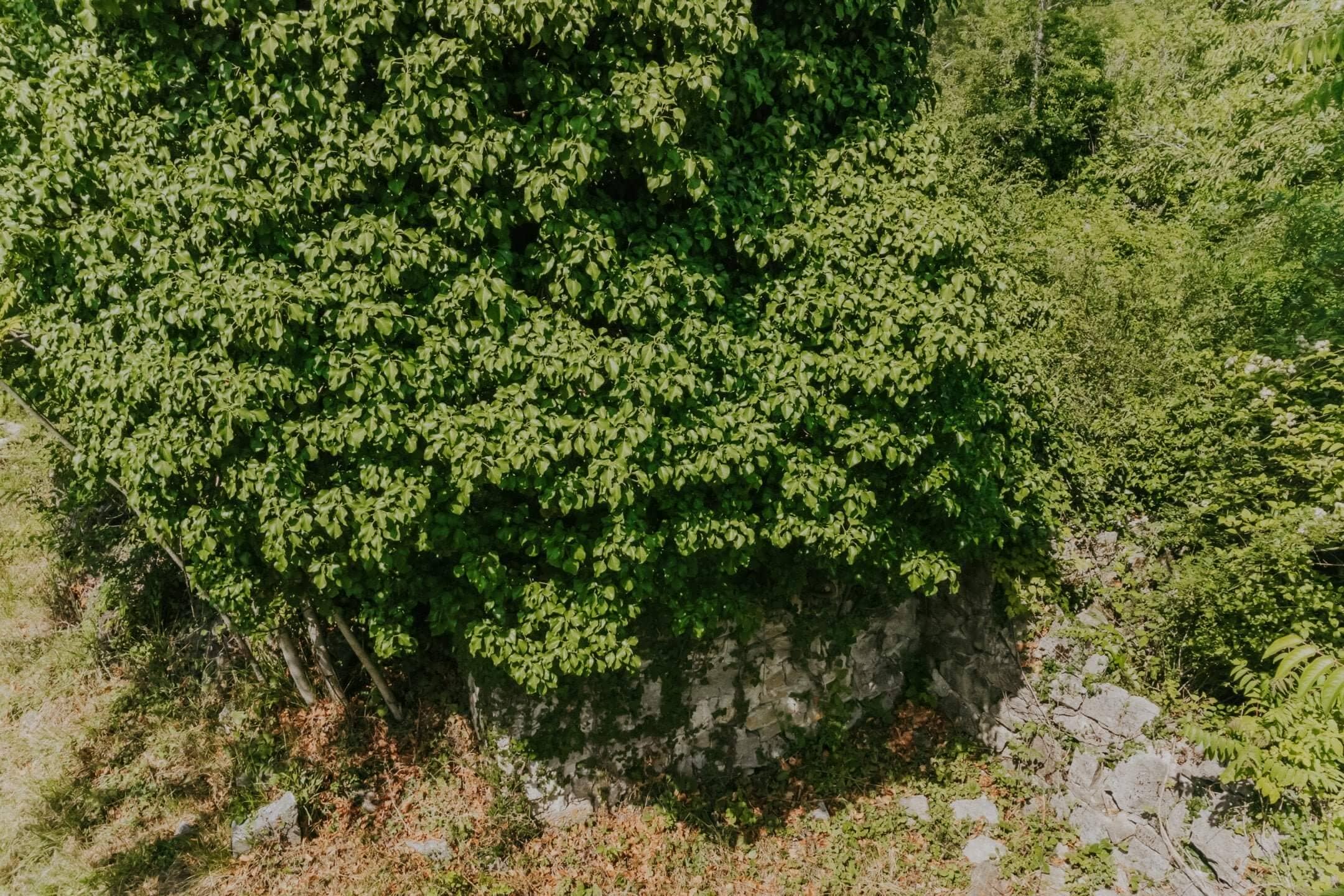 Krasica okolica | Samotna ruševina s čudovitim razgledom