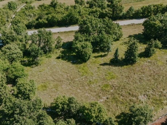 Buje okolica | Zazidljivo zemljišče na odlični lokaciji