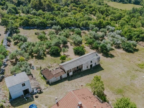 Buje okolica | Posest na samem z velikim potencijalom