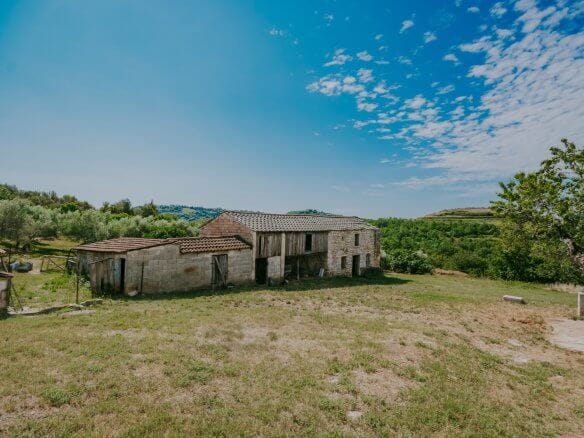 Buje okolica | Posest na samem z velikim potencijalom